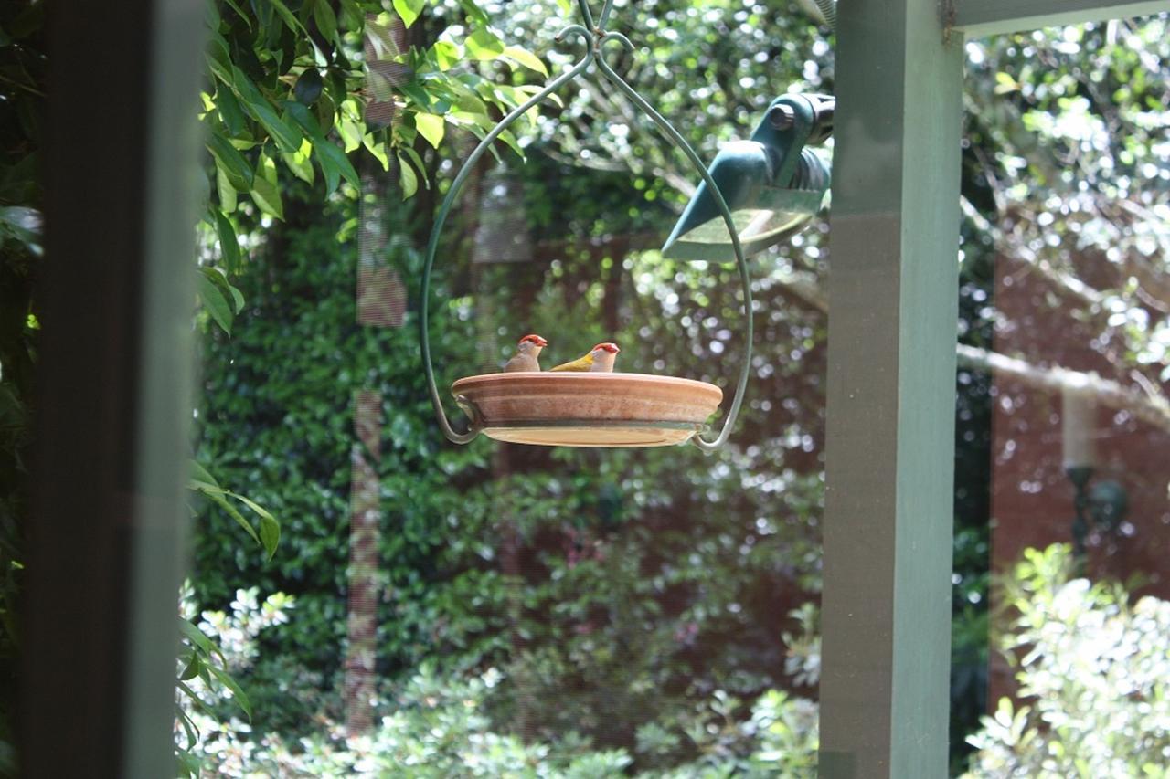 Mandalay House Bed and Breakfast Bellawongarah Εξωτερικό φωτογραφία